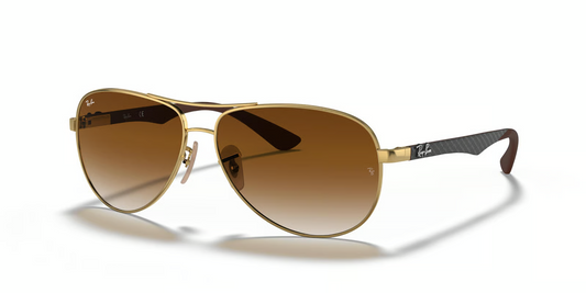 Ray-Ban RB8313 Carbon Fiber Sunglasses