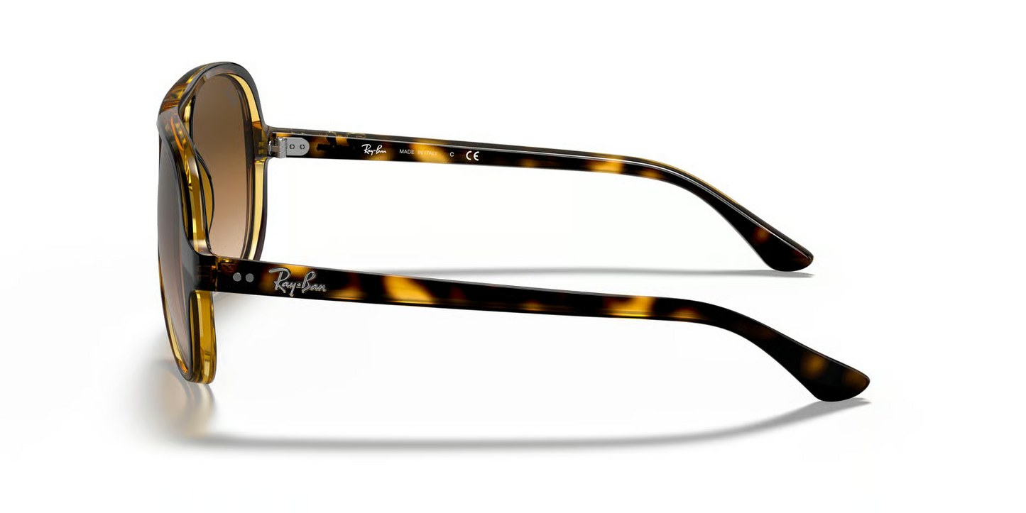 Ray-Ban RB4125 Cats 5000 Sunglasses