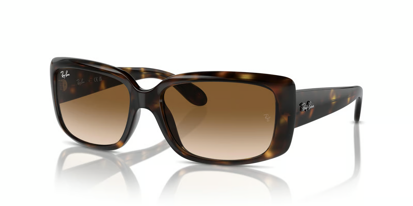 Ray-Ban RB4389 Sunglasses
