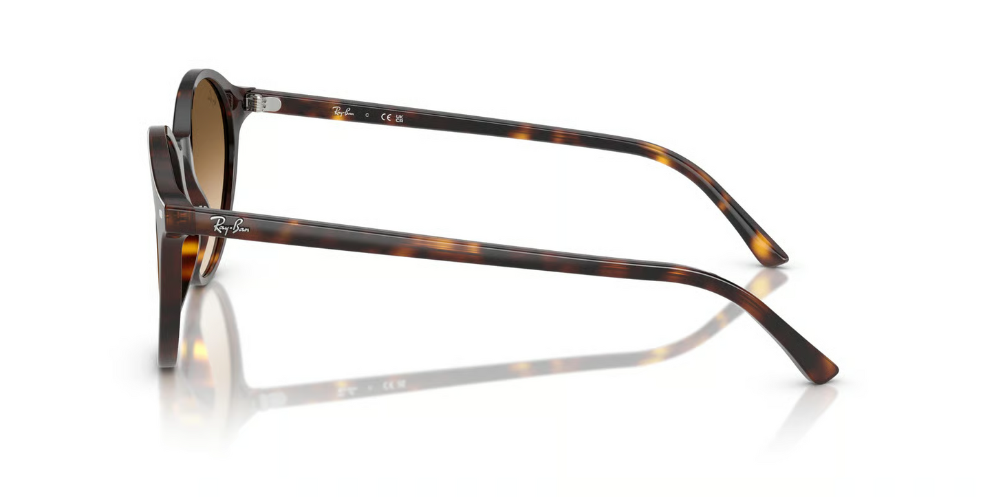 Ray-Ban RB2230F Bernard Sunglasses