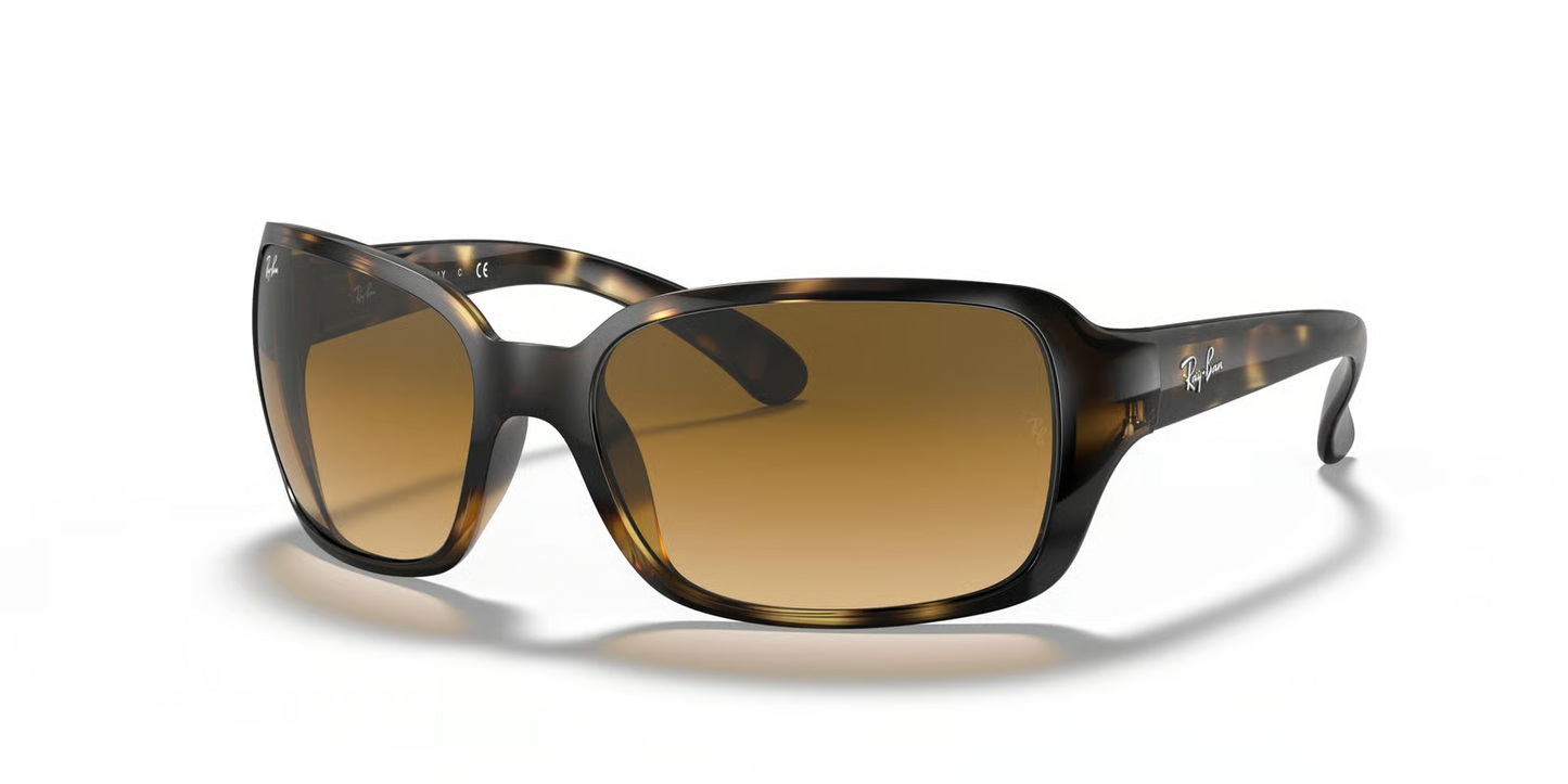 Ray-Ban RB4068 Sunglasses