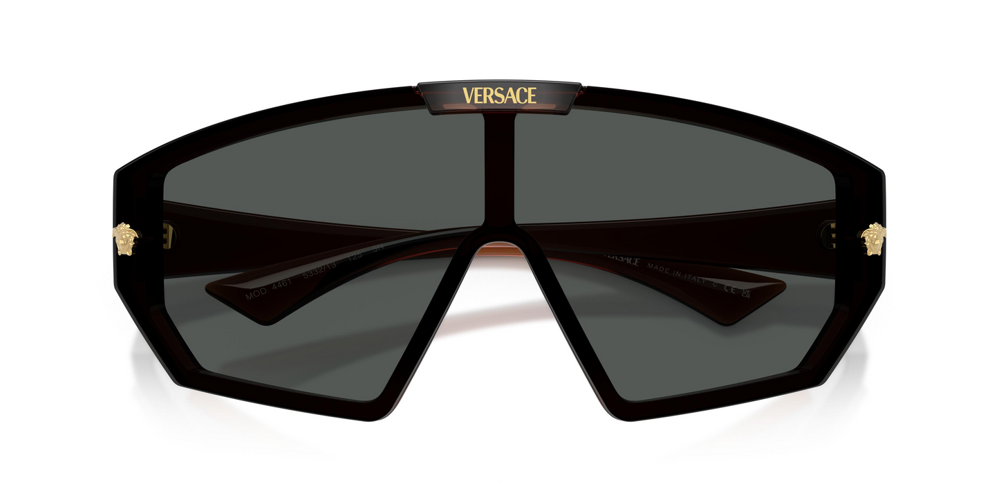 Versace VE4461 Sunglasses