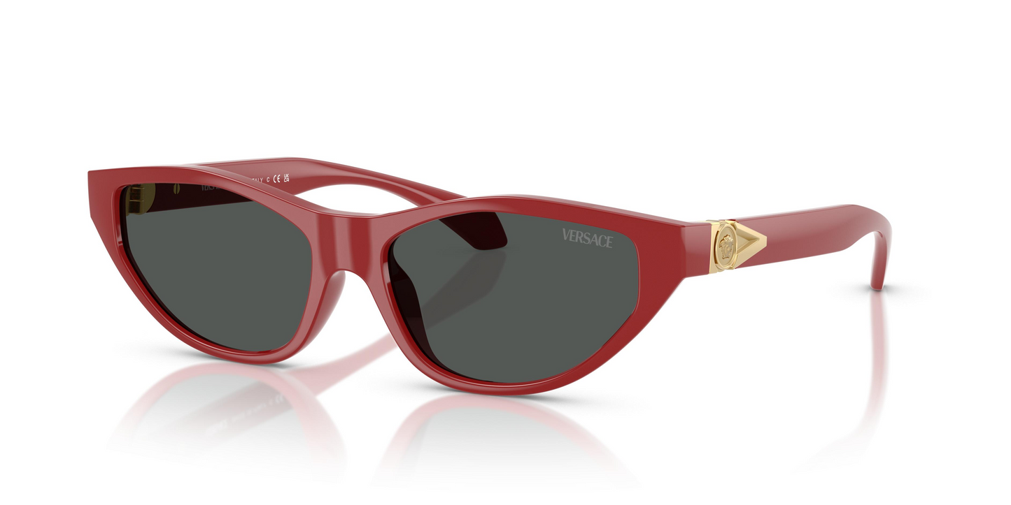 Versace VE4491U Sunglasses