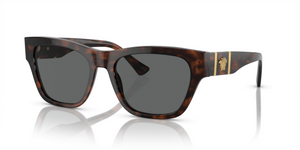 542987 - Havana with Dark Grey Lenses