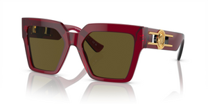 543073 - Bordeaux with Dark Brown Lenses