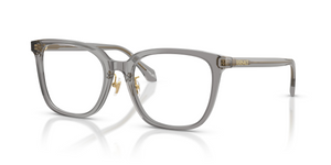5510 - Transparent Grey with Clear Lenses