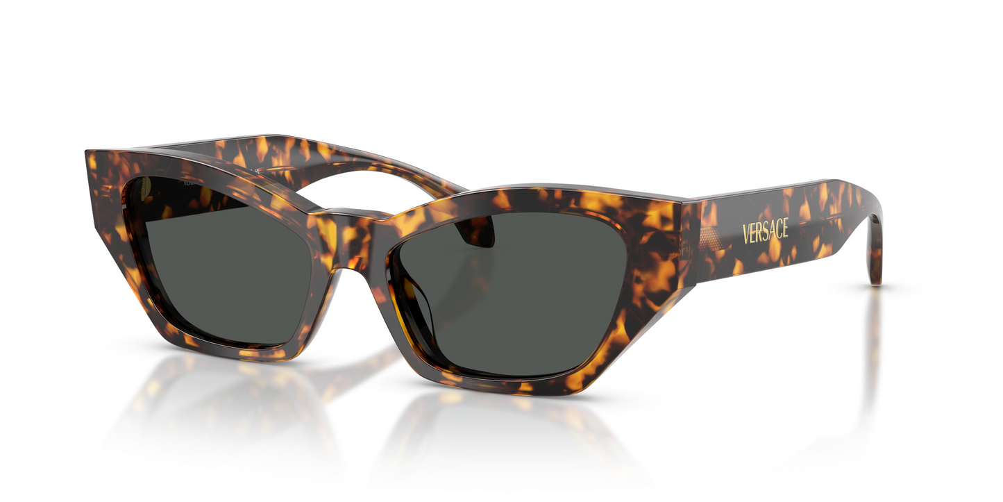Versace VE4488U Sunglasses