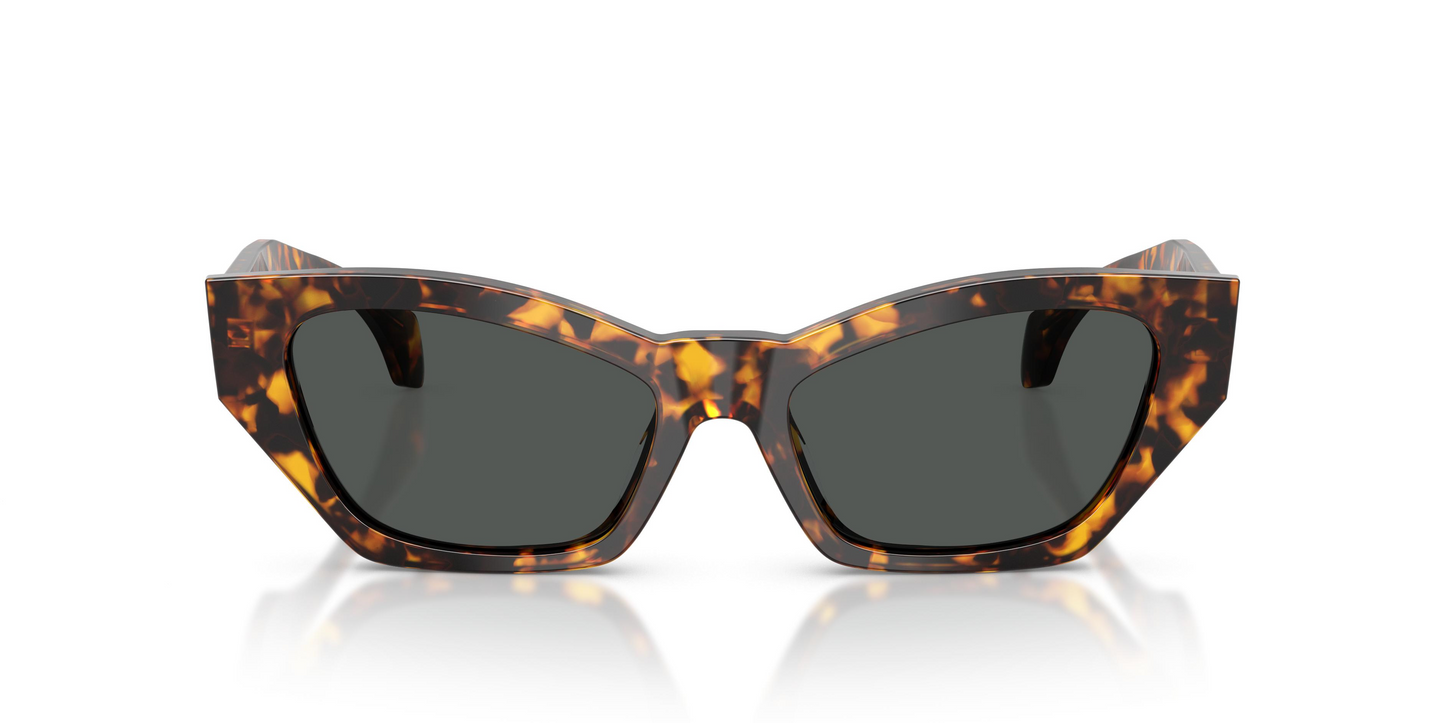 Versace VE4488U Sunglasses