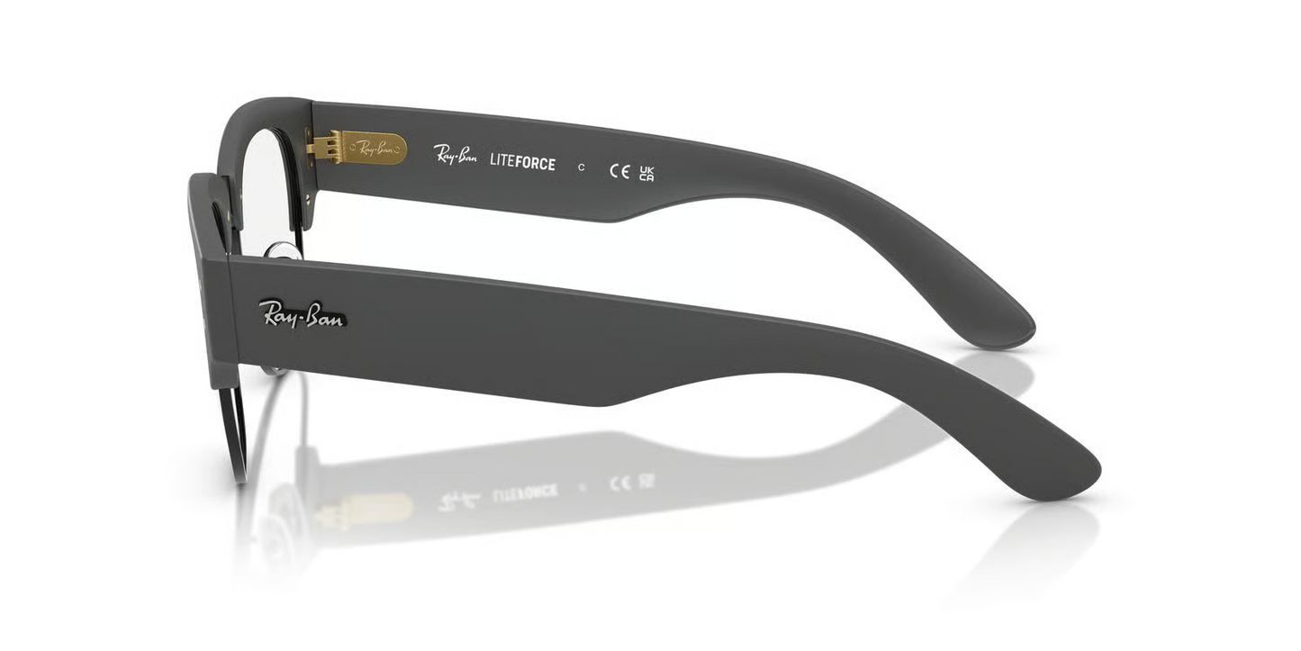 Ray-Ban Optical RX7316V Eyeglasses