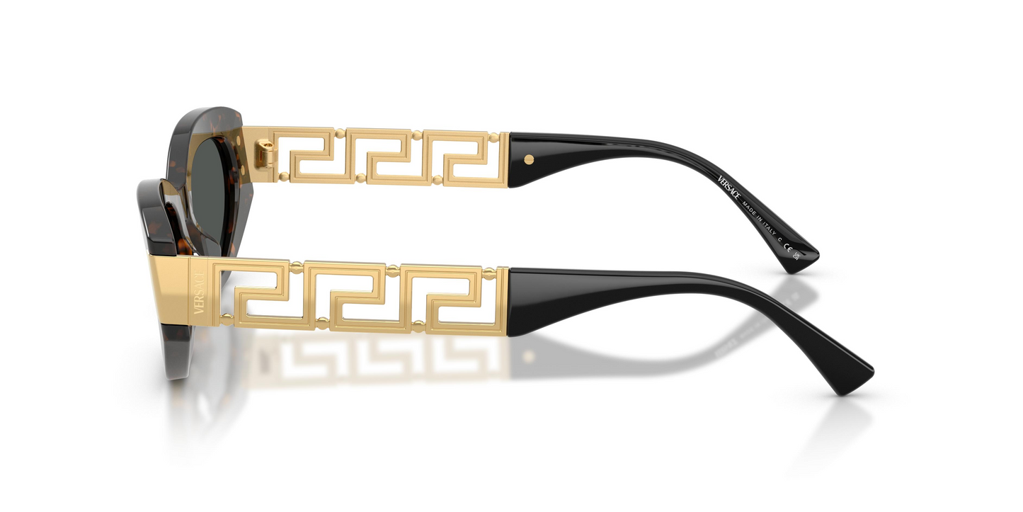 Versace VE4501 Sunglasses