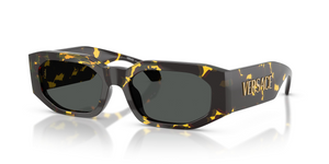 552887 - Brown Tortoise with Dark Grey Lenses