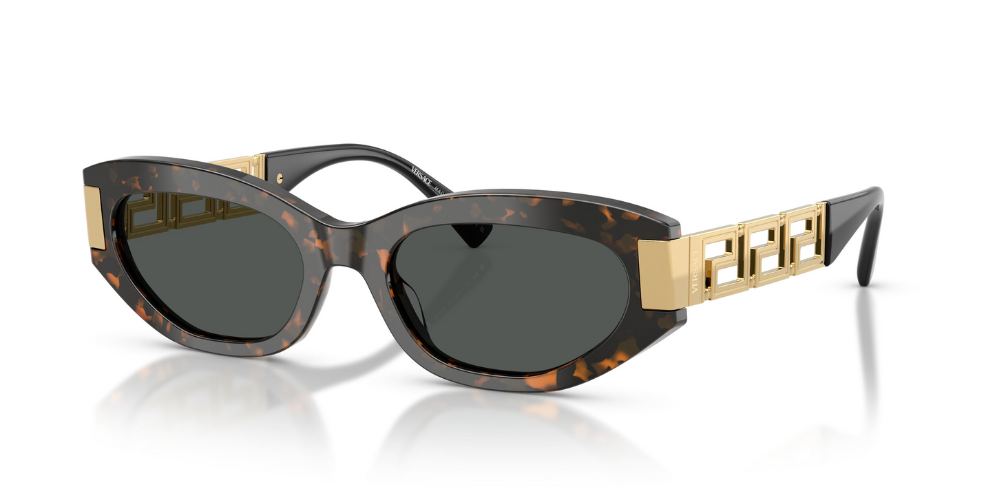 Versace VE4501 Sunglasses