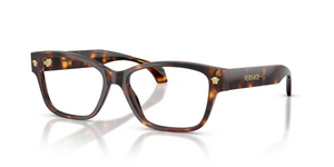 5539 - Havana with Clear Lenses