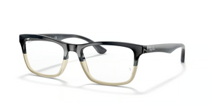 5540 - Grey Horn with Clear Lenses