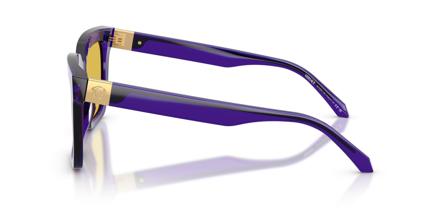 Versace VE4498F Sunglasses