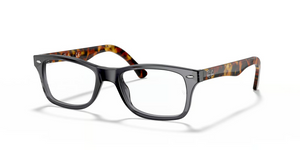 5629 - Grey with Clear Lenses
