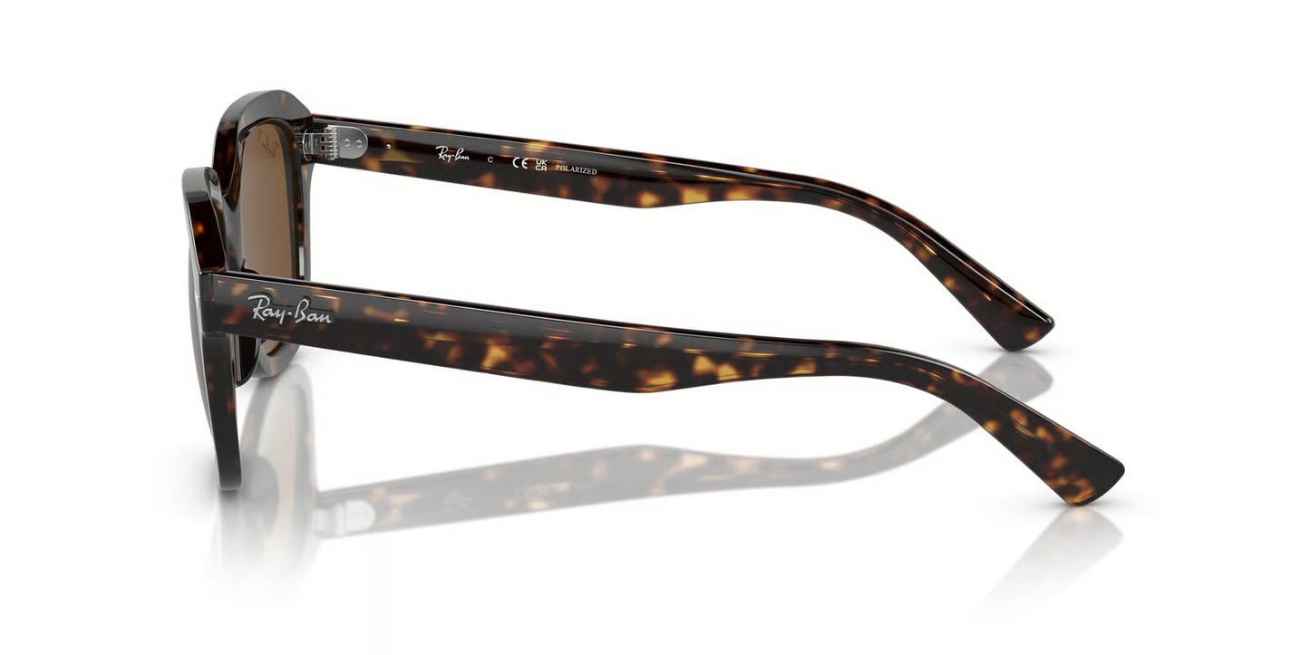Ray-Ban RB4398 Erik Sunglasses
