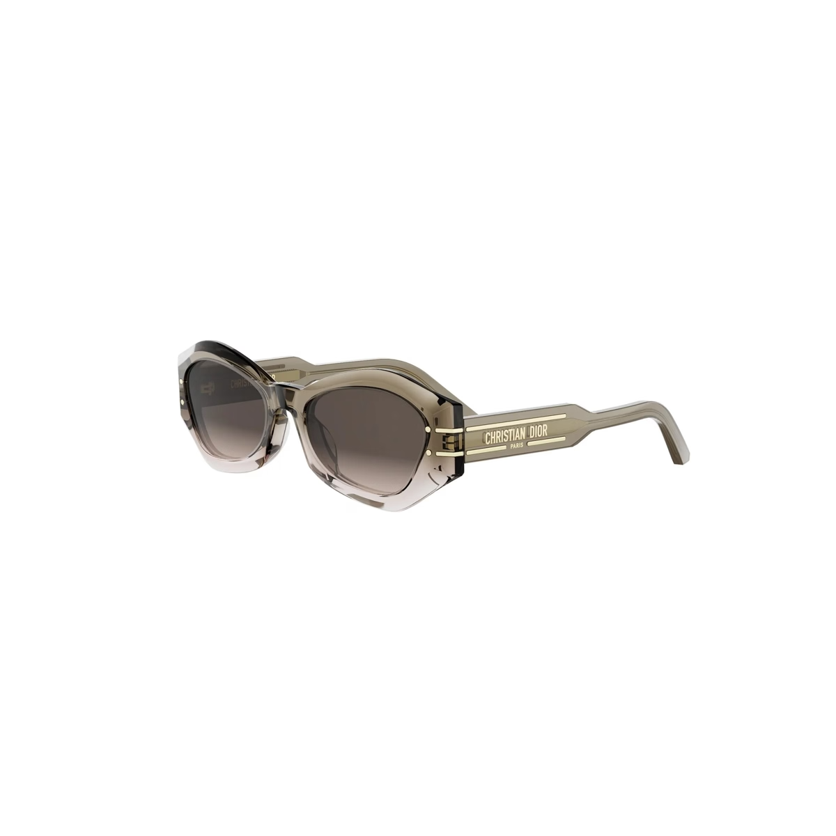 Dior Signature B1U CD40139U Sunglasses