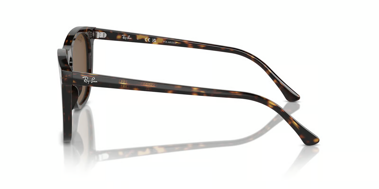 Ray-Ban RB2210F Sunglasses