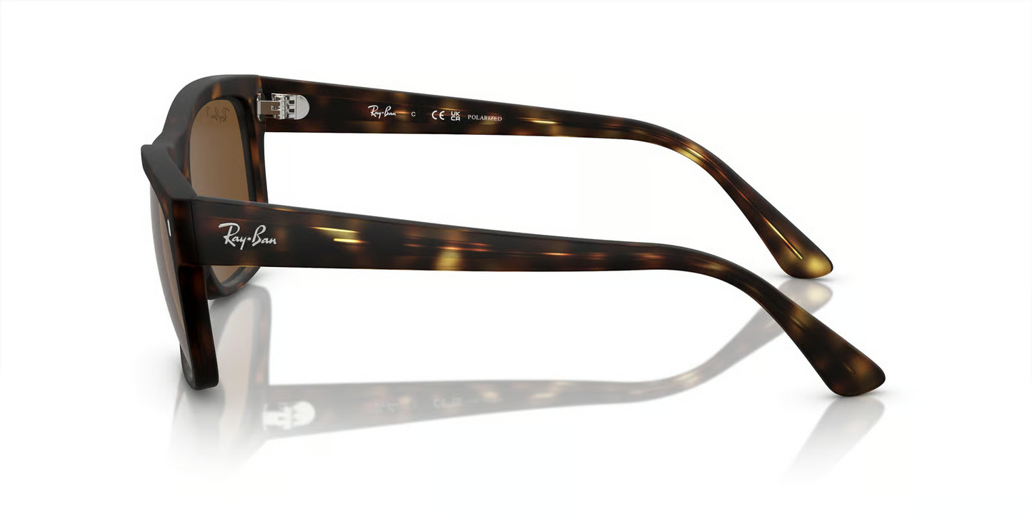 Ray-Ban RB4428 Sunglasses