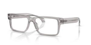593 - Light Grey Transparent with Clear Lenses