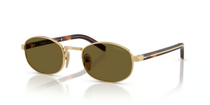 5AK09Z - Gold with Dark Brown Lenses