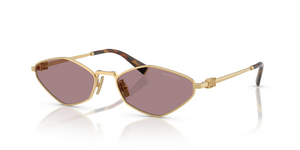 5AK20I - Gold with Light Purple Brown Lenses