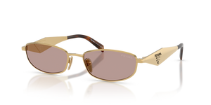 5AK20I - Gold with Light Purple Brown Lenses