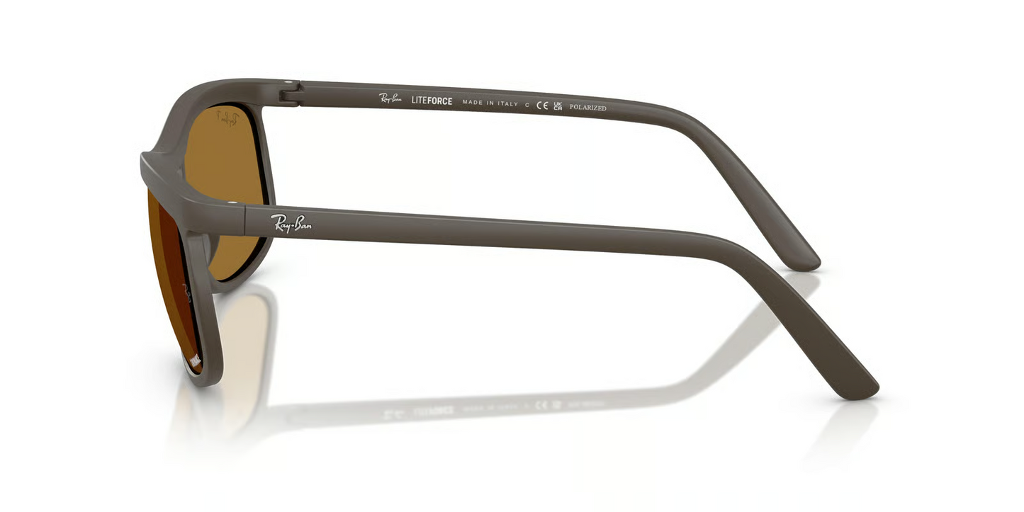 Ray-Ban RB4452CH Sunglasses