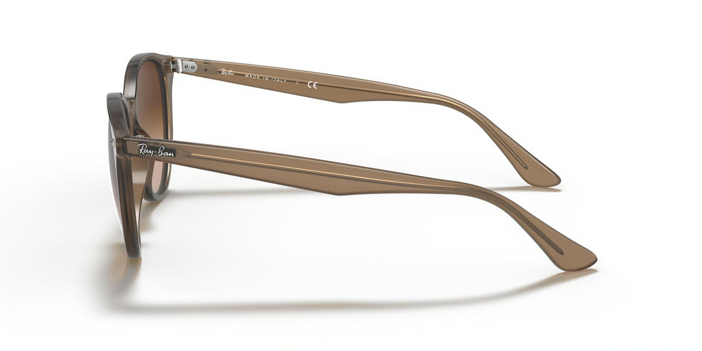 Ray-Ban RB4305F Sunglasses