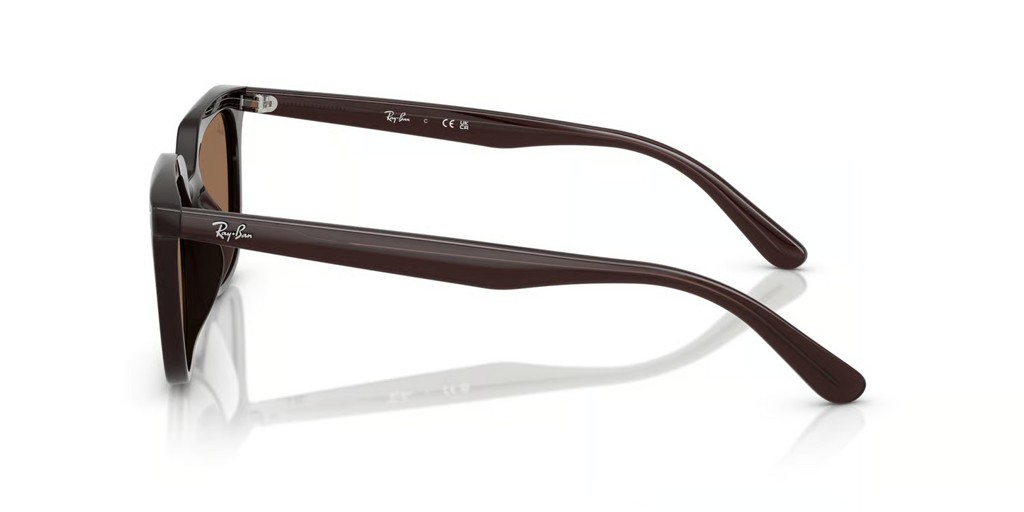 Ray-Ban RB4439D Sunglasses