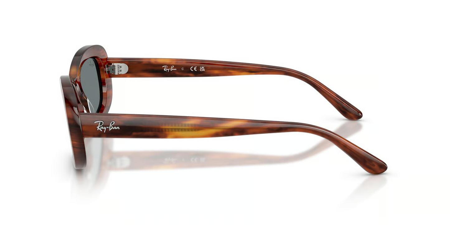 Ray-Ban RB2221F Sunglasses