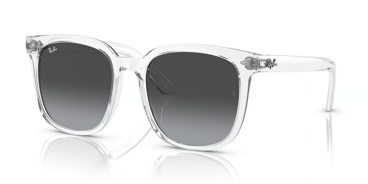 Ray-Ban RB4401D Sunglasses