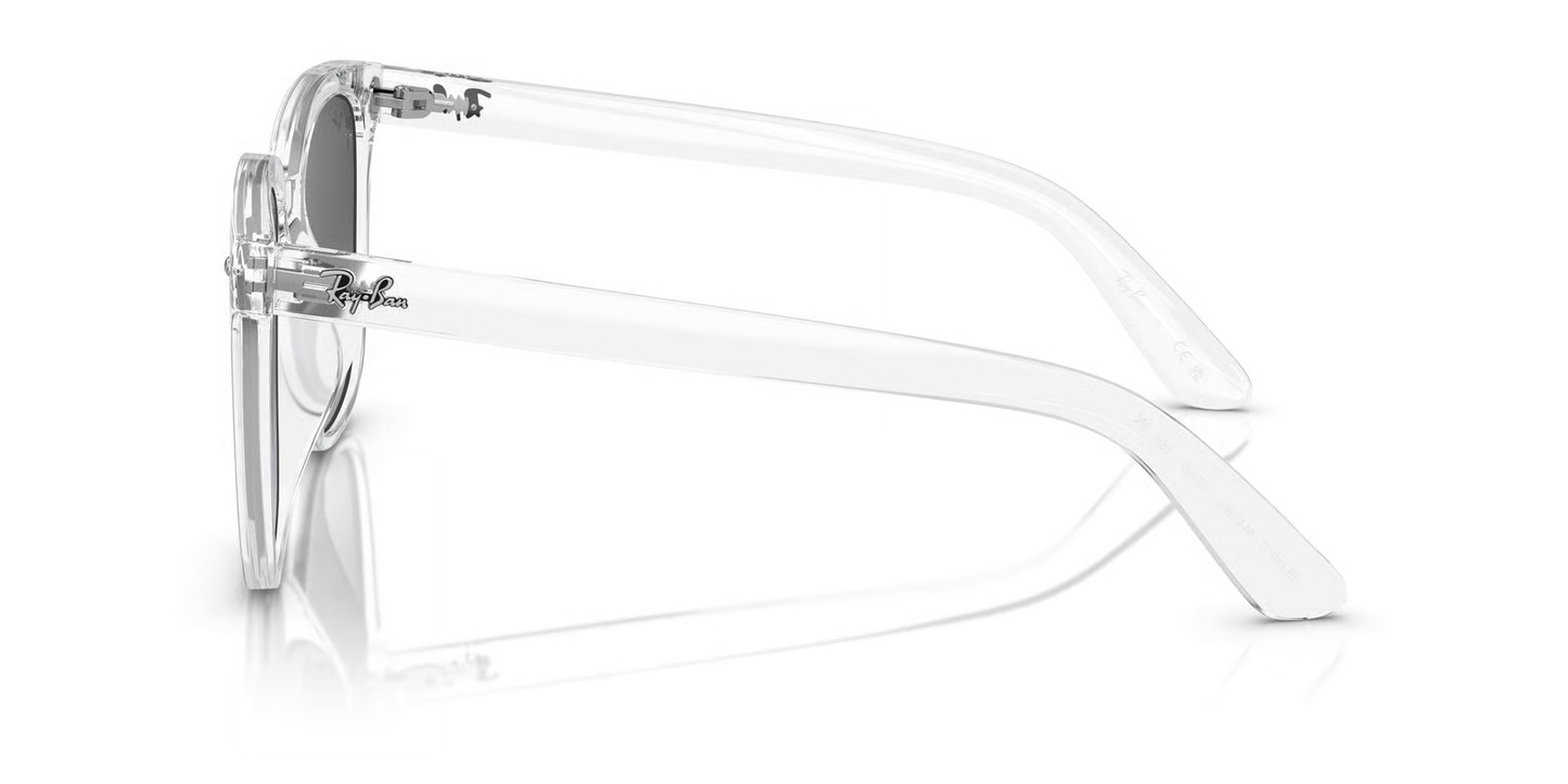 Ray-Ban RB4401D Sunglasses