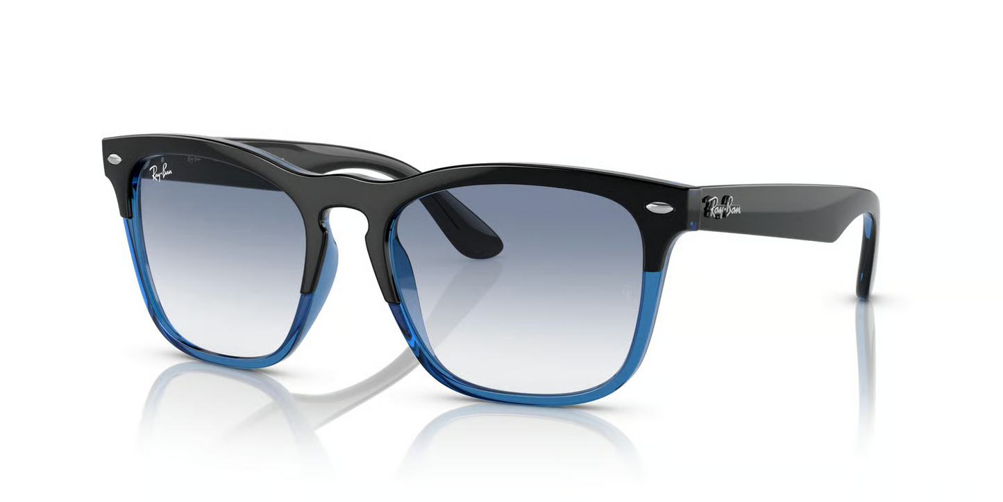 Ray-Ban RB4487 Steve Sunglasses