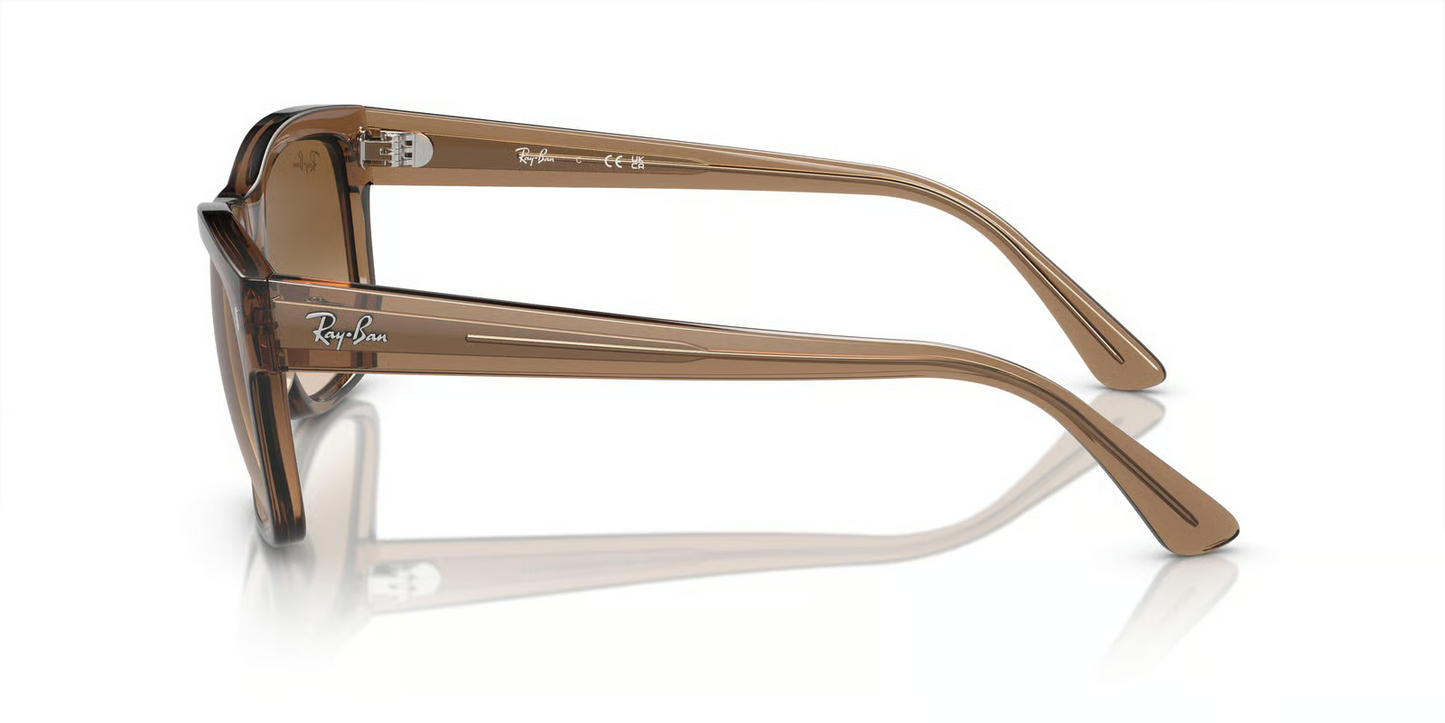 Ray-Ban RB4428F Sunglasses