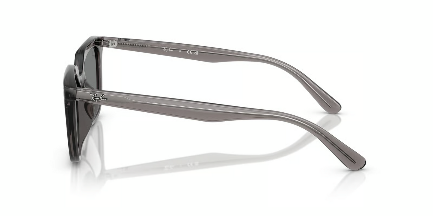 Ray-Ban RB4439D Sunglasses