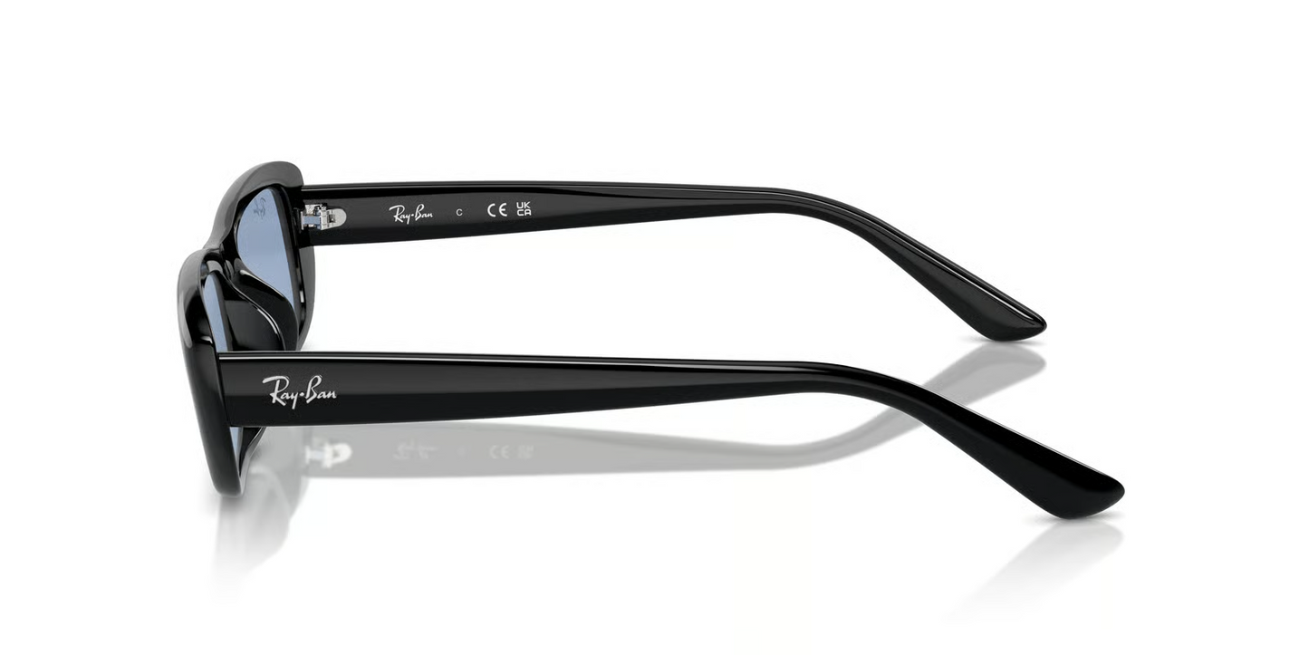 Ray-Ban RB4436D Sunglasses