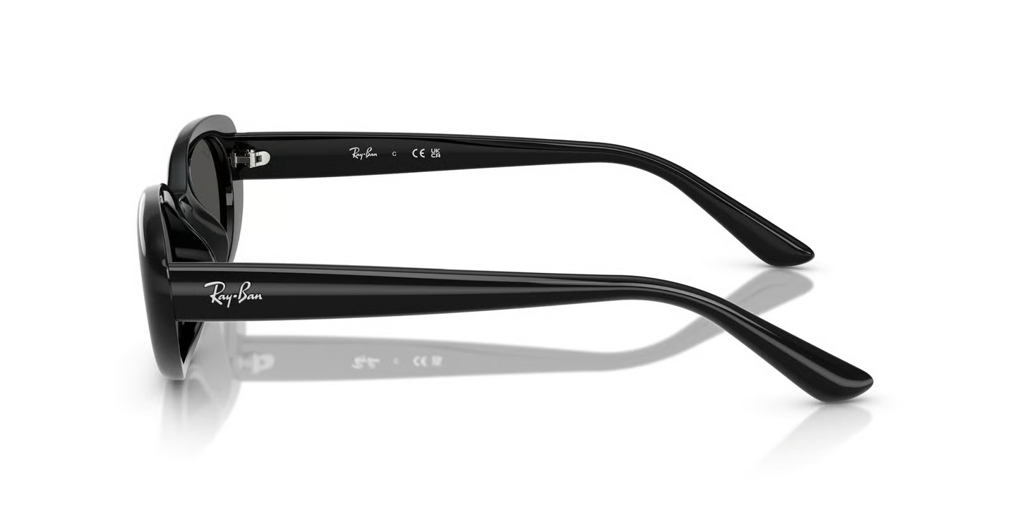 Ray-Ban RB4441D Sunglasses