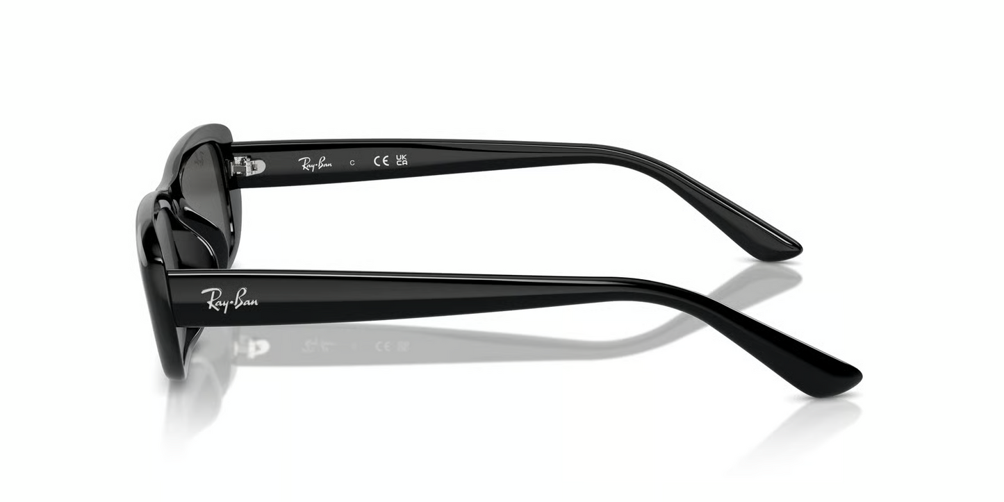 Ray-Ban RB4436D Sunglasses