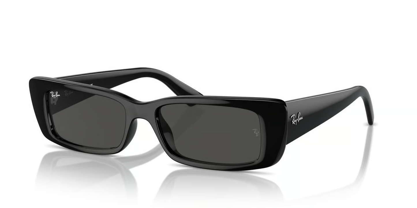 Ray-Ban RB4425F Teru Sunglasses