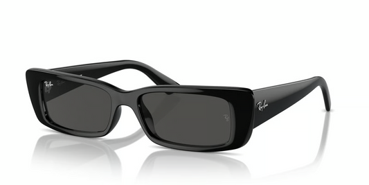 Ray-Ban RB4425F Teru Sunglasses