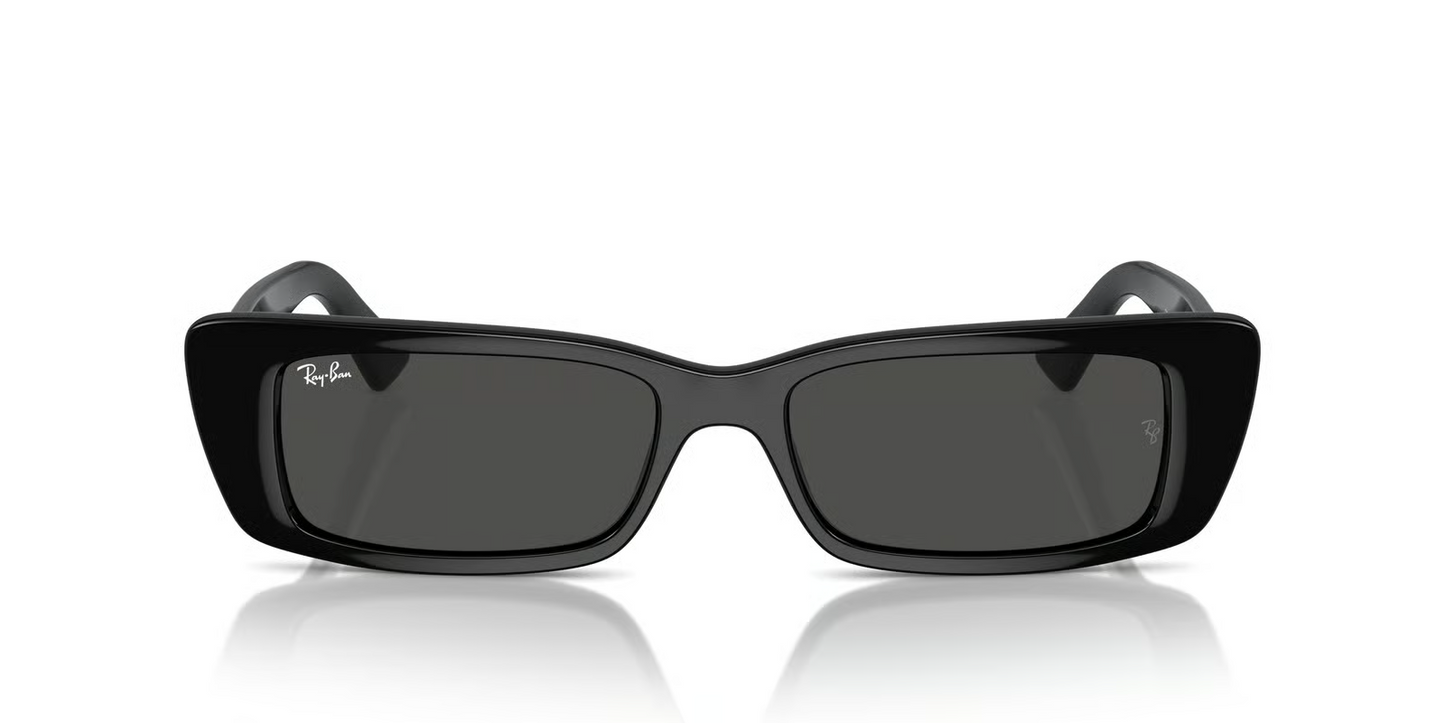 Ray-Ban RB4425F Teru Sunglasses
