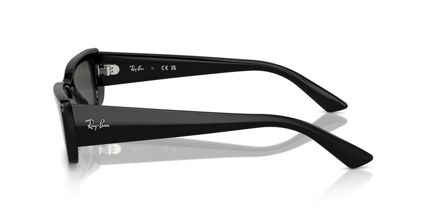 Ray-Ban RB4425F Teru Sunglasses