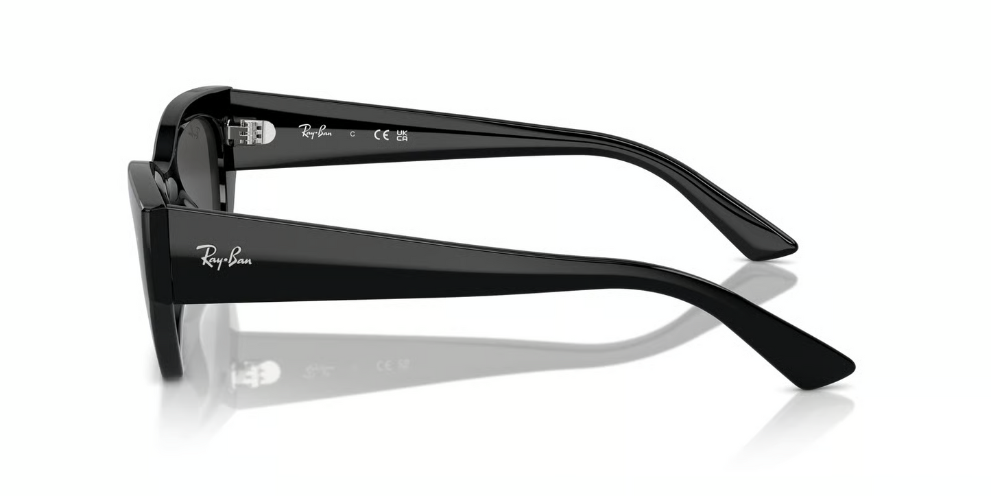Ray-Ban RB4430F Zena Sunglasses