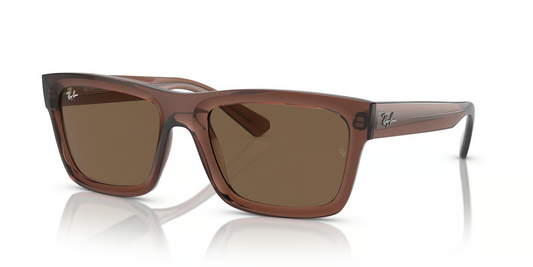 Ray-Ban RB4396F Warren Sunglasses