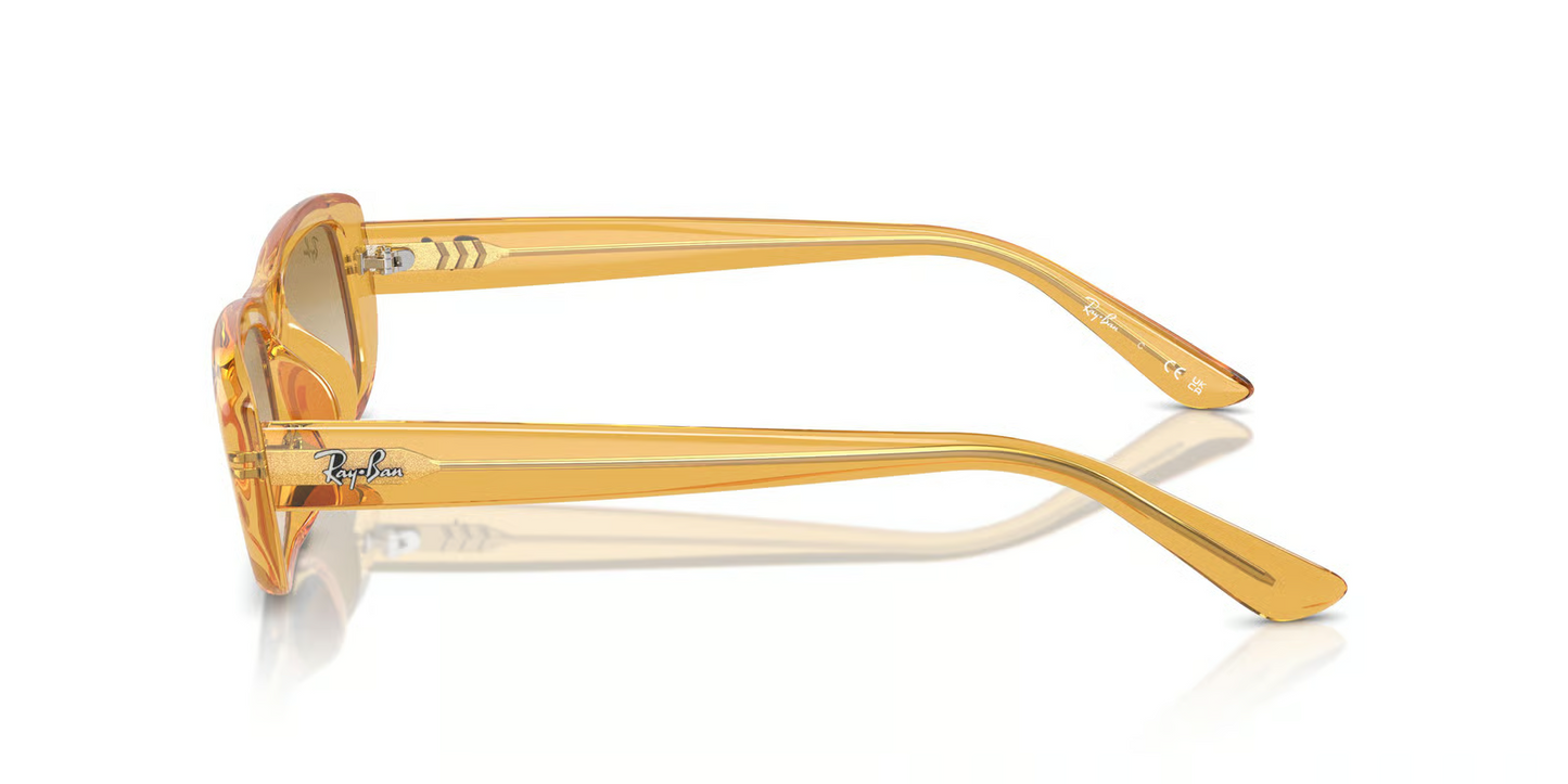 Ray-Ban RB4436D Sunglasses