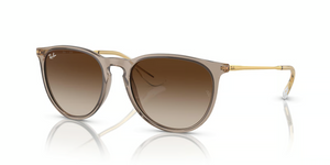 674413 - Transparent Light Brown with Brown Lenses