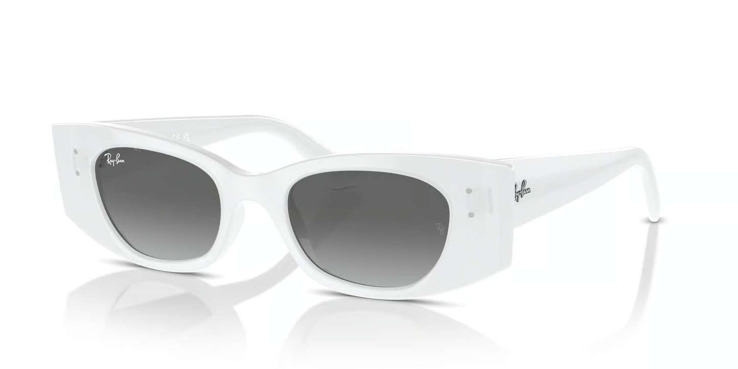 Ray-Ban RB4427 Kat Sunglasses