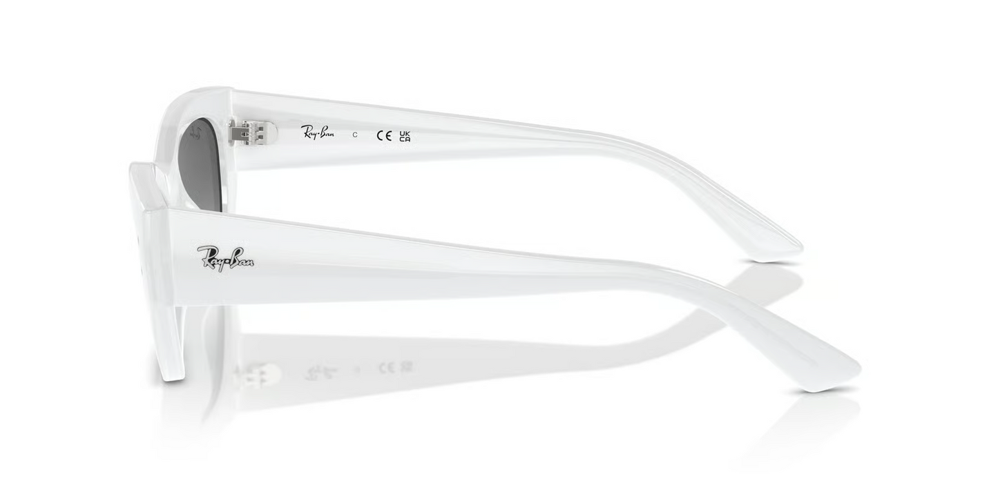 Ray-Ban RB4430F Zena Sunglasses